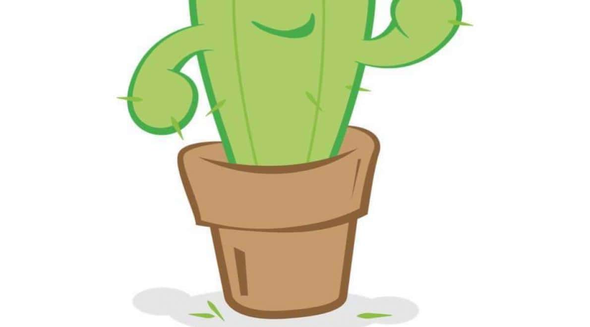 Kadushi Body Care Filiaal 1