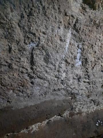 Poep. Braaksel. Urine