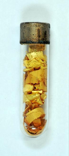 Goud monster Suriname (Brokopondo district) buisje 4 cm lang. Foto Naturalis Biodiversity Center.jpg