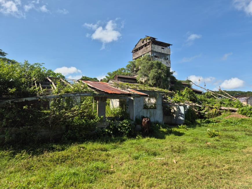 Vergane glorie op de voormalige suikerplantage Mariënburg. Foto Zoë Deceuninck